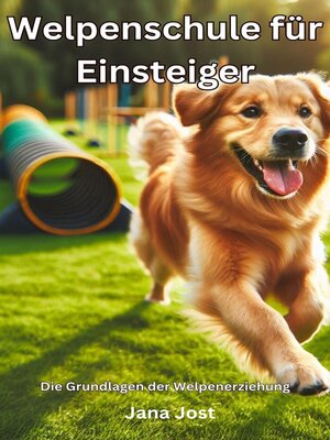 Welpenschule für Einsteiger, Die Grundlagen der Welpenerziehung - ebook